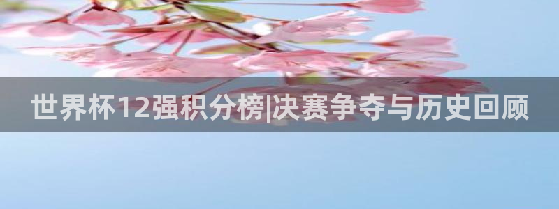 2026年世界杯对阵图：世界杯12强积分榜|决赛争夺与历史回顾