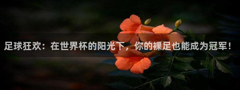 世界杯预选赛：足球狂欢：在世界杯的阳光下，你的裸足也能成为冠军！