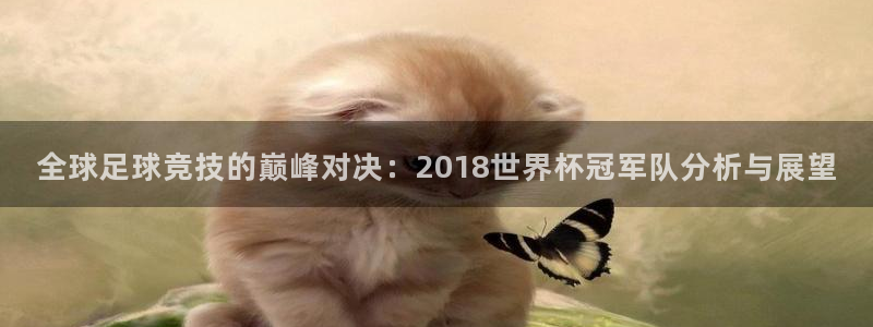 2026世界杯亚洲预选赛：全球足球竞技的巅峰对决：2018世界杯冠军队分析与展望