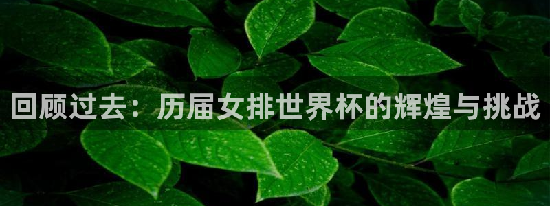 免费看足球直播比赛：回顾过去：历届女排世界杯的辉煌与挑战
