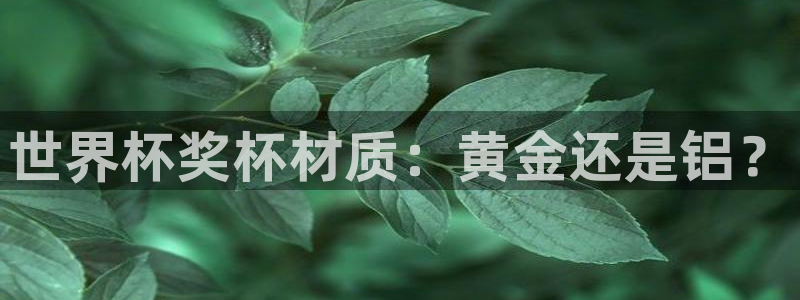 2026世界杯赛：世界杯奖杯材质：黄金还是铝？