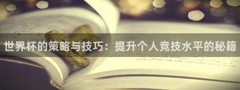 2006年世界杯冠军：世界杯的策略与技巧：提升个人竞技水平的秘籍