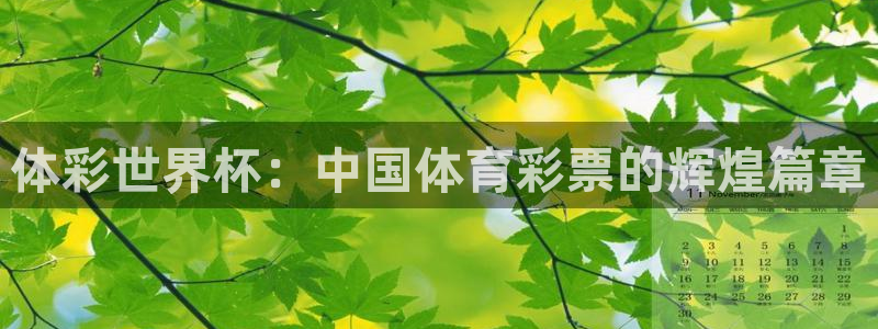 2026年世界杯时间表：体彩世界杯：中国体育彩票的辉煌篇章