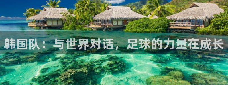 世界杯时间：韩国队：与世界对话，足球的力量在成长