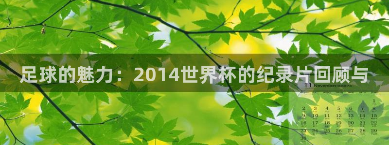 预选赛世界杯：足球的魅力：2014世界杯的纪录片回顾与