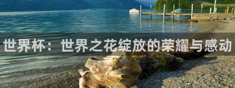 世界杯直播网：世界杯：世界之花绽放的荣耀与感动