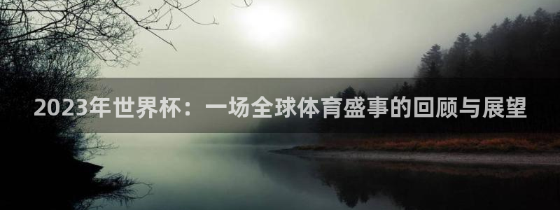 世界杯视频：2023年世界杯：一场全球体育盛事的回顾与展望