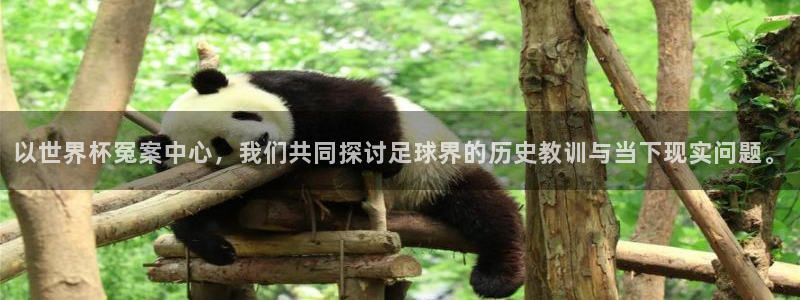 世界杯预选赛欧洲赛区赛程：以世界杯冤案中心，我们共同探讨足球界的历史教训与当下现实问题。