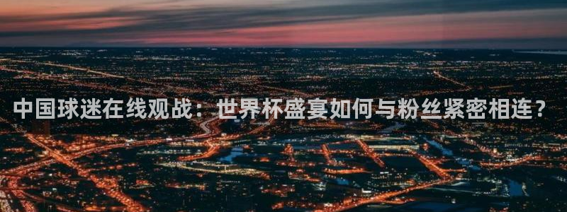 2026足球世界杯：中国球迷在线观战：世界杯盛宴如何与粉丝紧密相连？